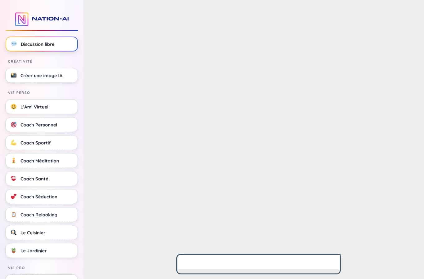 Capture d'ecran de l'interface de chat gratuite Nation AI en francais, sans inscription